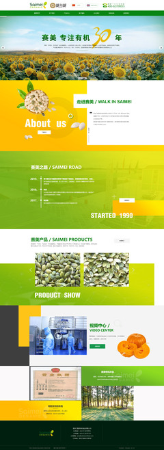 網頁制作資源與技巧全解析 從特效到設計實戰