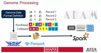 大數據驅動醫療軟件開發 應對醫療衛生成本激增的智慧之道